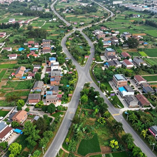 一条民心路 万家幸福长——天津以民心工程激活乡村振兴新动能第三张图