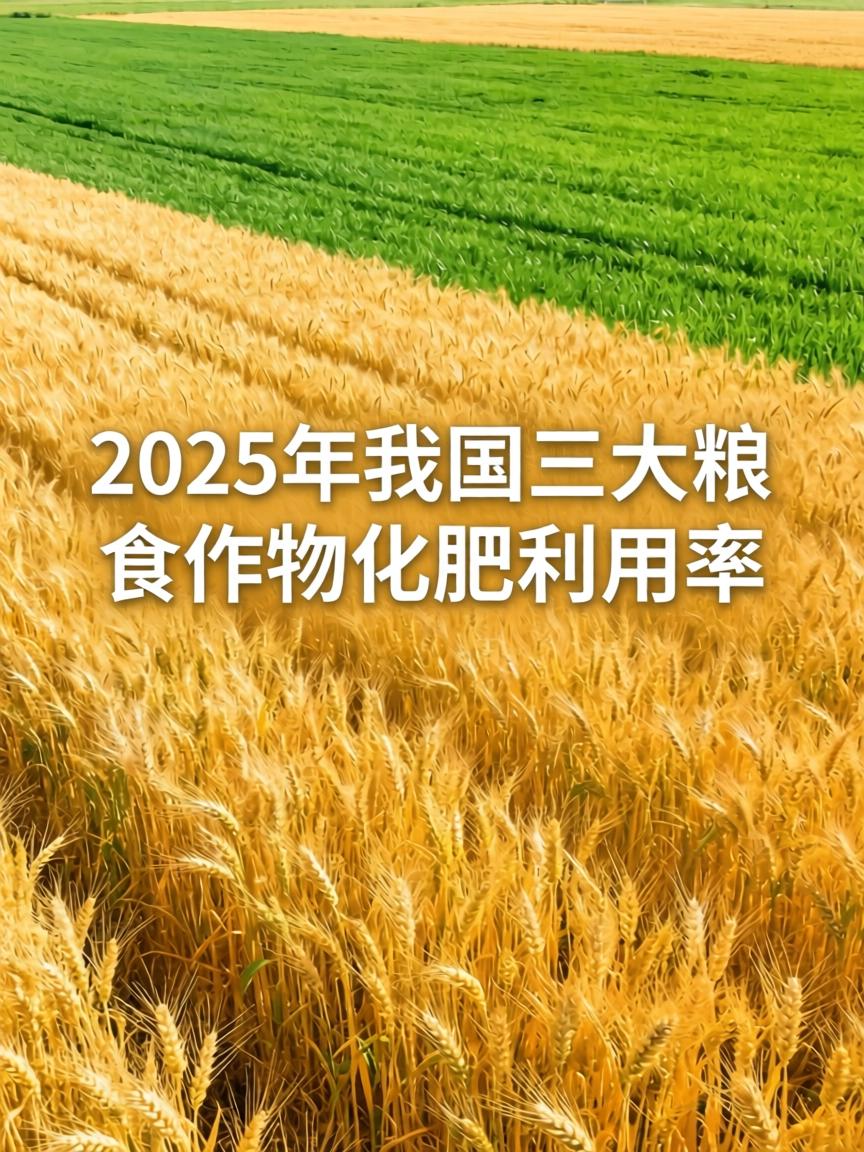 2025年我国三大粮食作物化肥利用率稳步提升