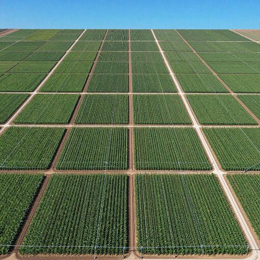 陕西黄龙县：农事代办“田保姆” 丰产增收不再愁第一张图