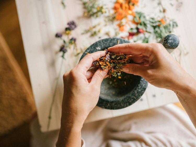 肾虚人群喝对茶，辅助调理有讲究