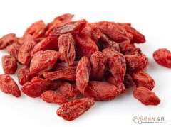 枸杞毛尖真能“全能养生”？功效与误区要分清