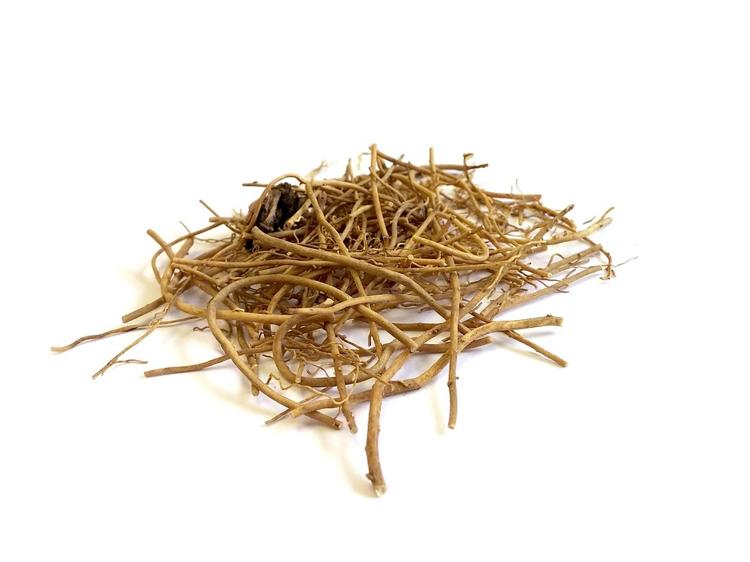 口干苔黄脸暗沉？中医湿热调理要点记牢