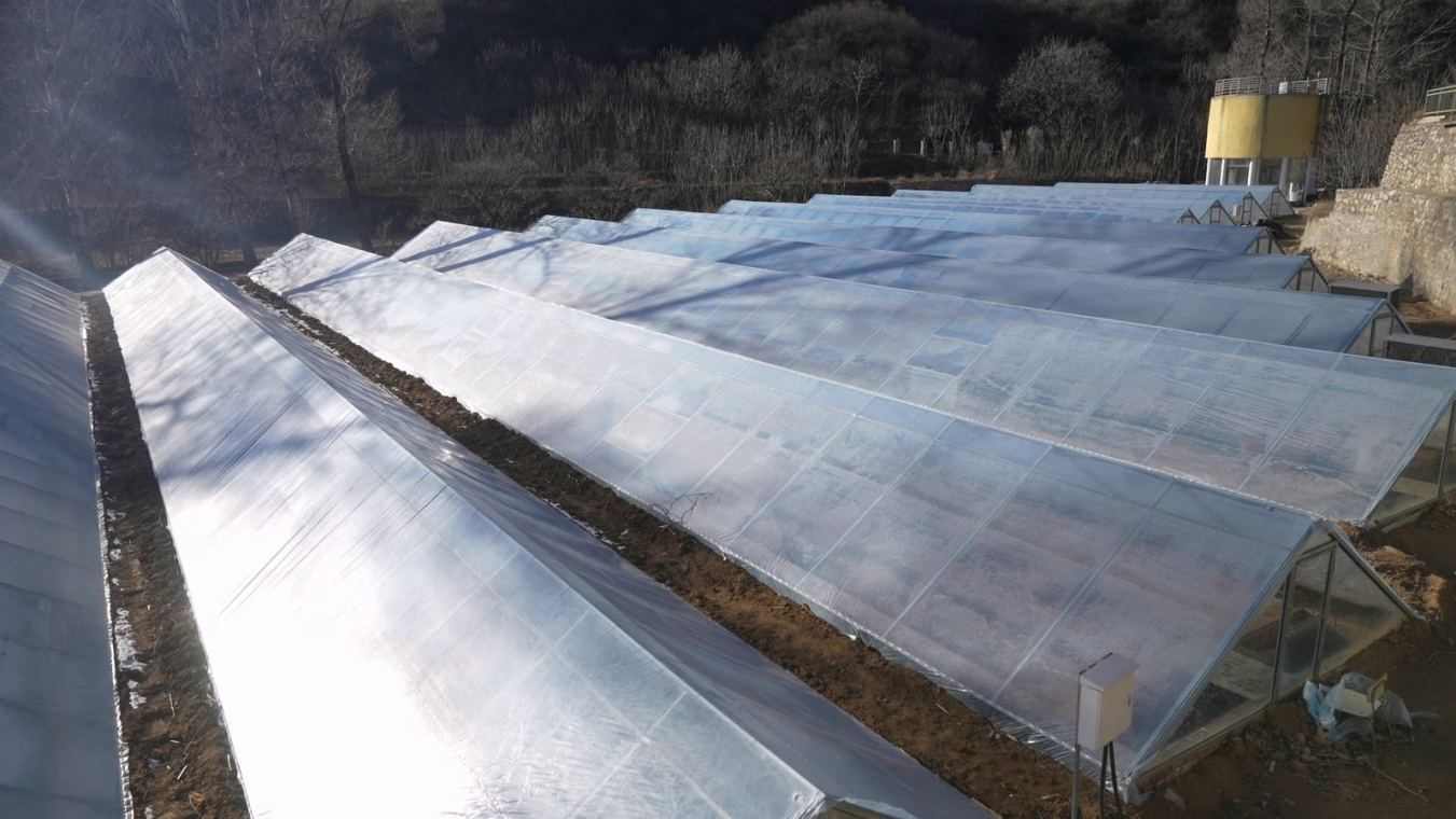 延庆大庄科乡：公益金铺就革命老区振兴进阶之路