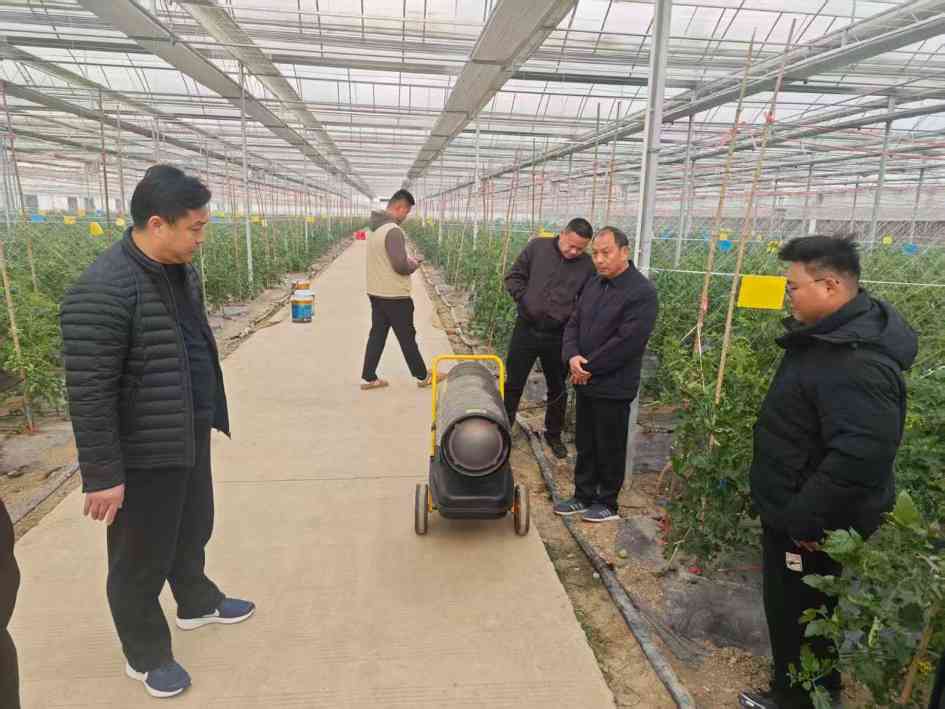 湖北武汉：迅速开展设施大棚寒潮防护