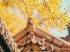 胃胀又失眠？可能是肝胃不和在“搞事”