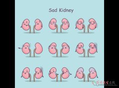 心肾不交≠肾阴虚？分清区别科学调理不踩坑