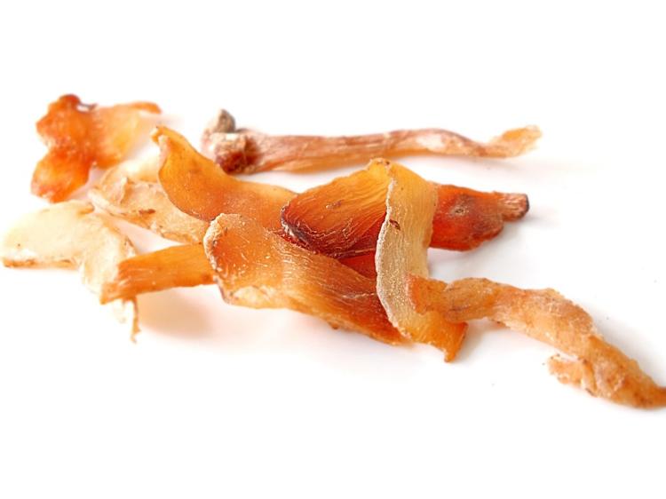 女性脾肾虚？5种常见食物温和调理，改善乏力畏寒