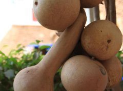 干燥综合征别慌，中医这样帮你调治