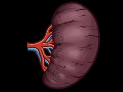 黄褐斑总不消？可能是你的“脾”在闹情绪！