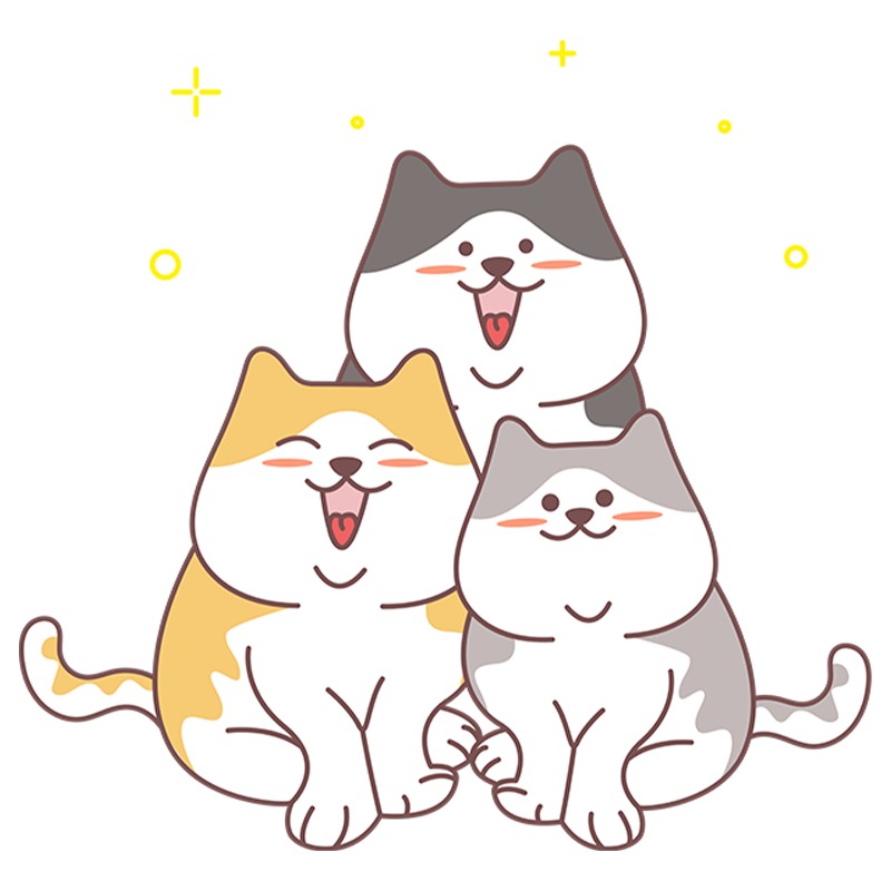 猫咪滴虫病怎么治疗？