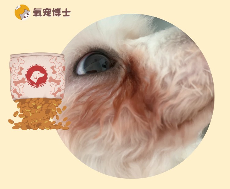狗狗泪痕严重和狗粮有关吗？