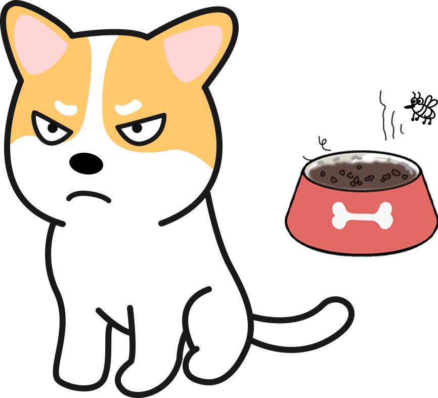 狗粮泡水吃还是干吃好