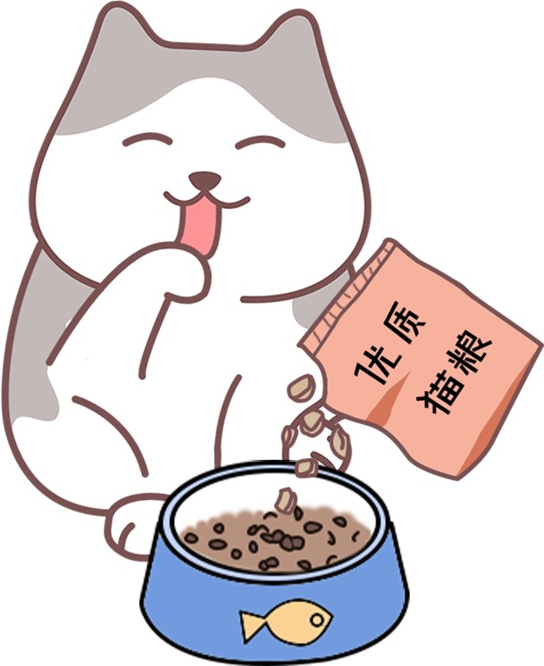 猫咪断奶吃幼猫粮还是奶糕粮？