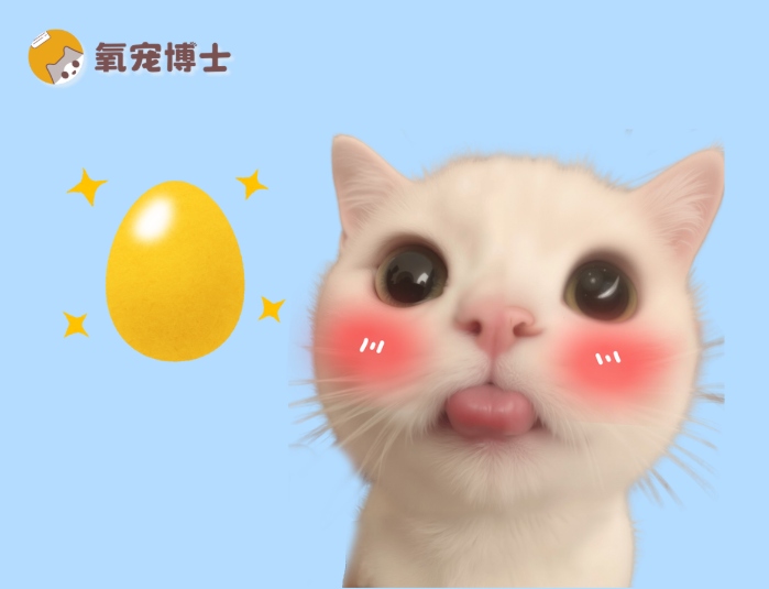猫咪吃蛋黄的好处和坏处