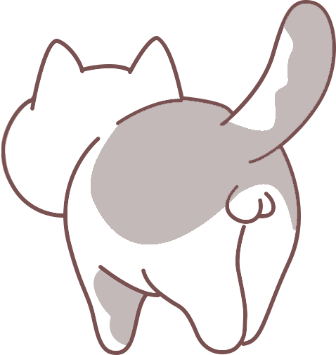 捡的小猫咪带回家怎么处理