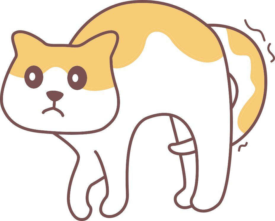 猫咪怕吹风机怎么办？