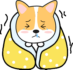 冬季养狗怎么保暖？