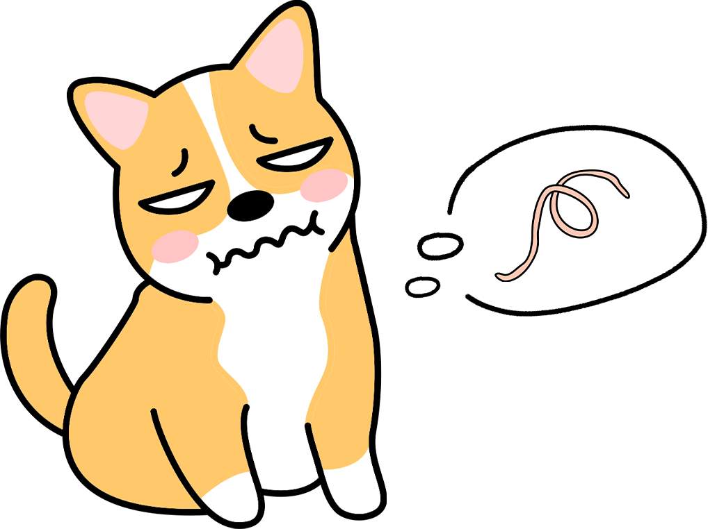 狗狗能吃鸡蛋吗？