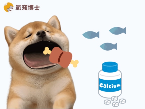 哪些狗狗需要注意补钙？