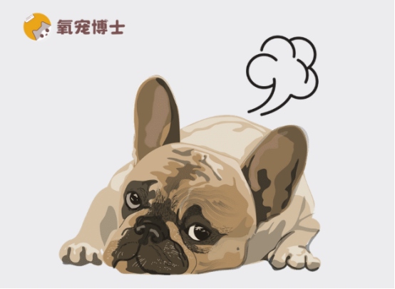 狗狗老放臭屁是怎么回事？