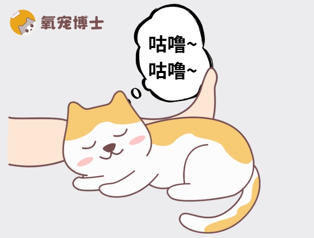 猫咪发出咕噜声的含义