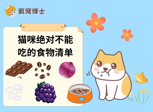 猫咪绝对不能吃的人类食物有哪些？