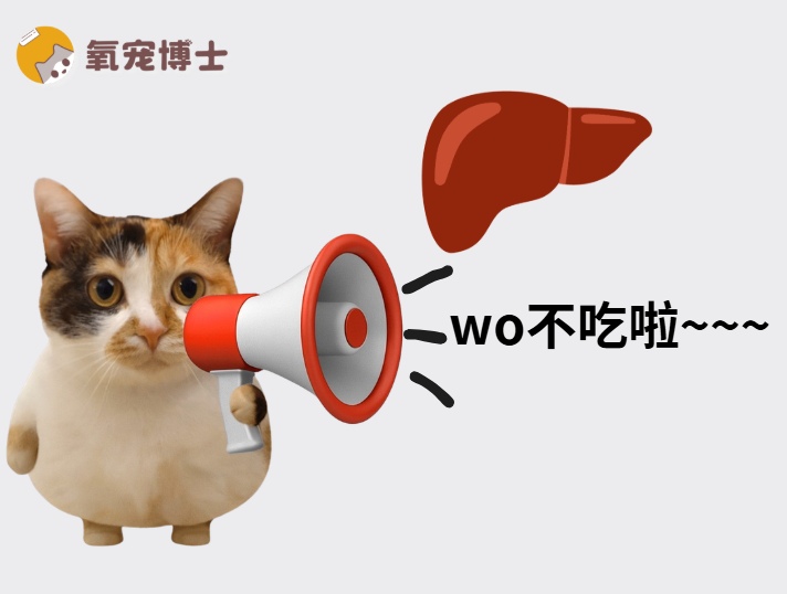经常给猫咪喂鸡肝？小心维生素A中毒！