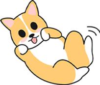 狗狗怀孕期间的注意事项