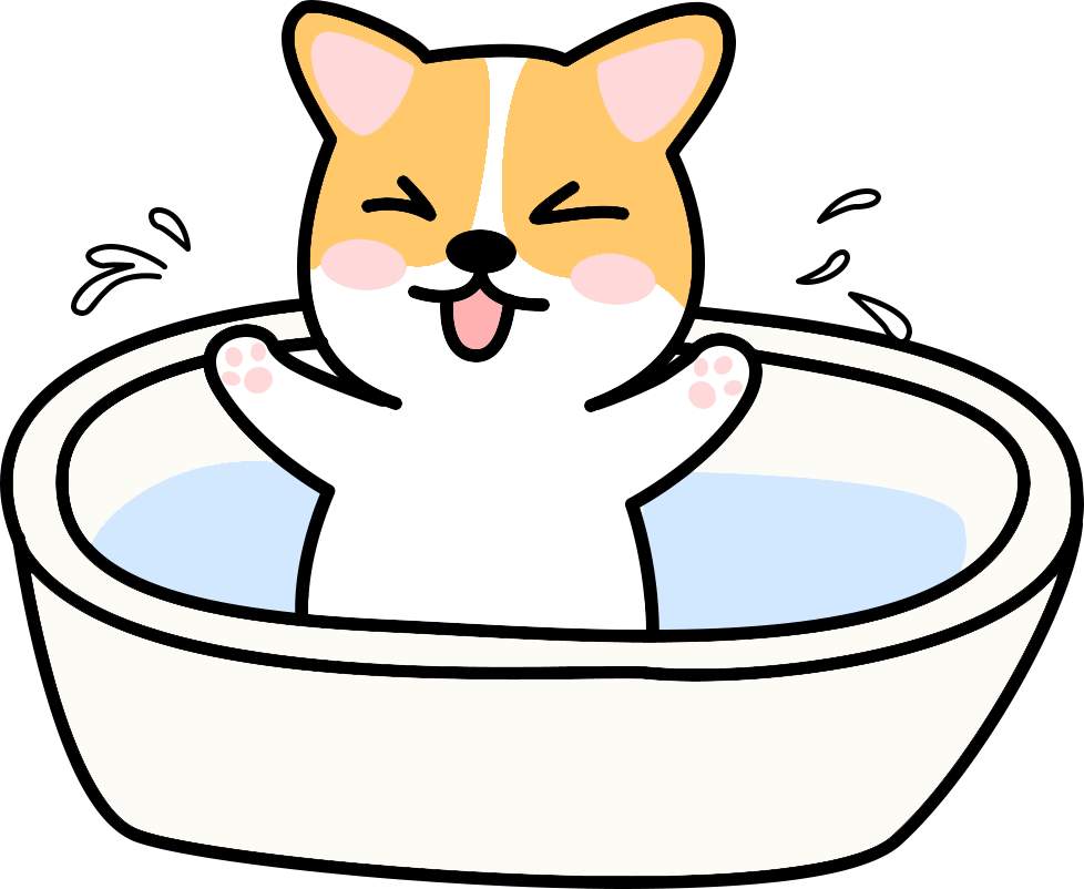 狗狗怀孕后可以洗澡吗