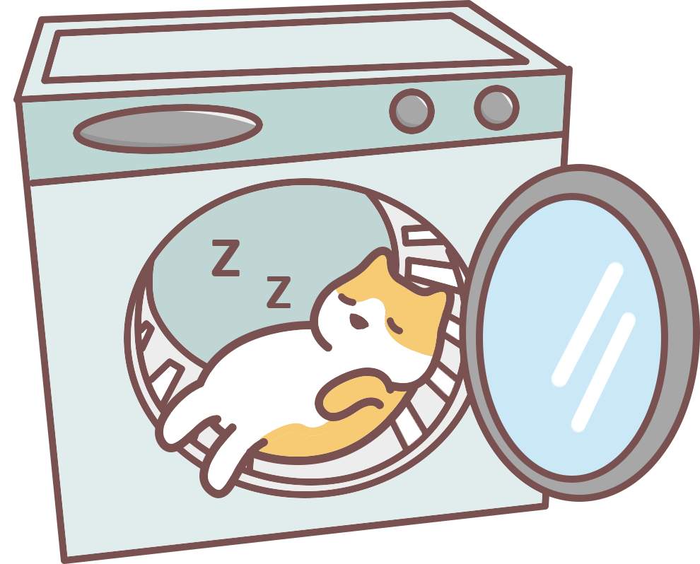 猫咪怎么训练？