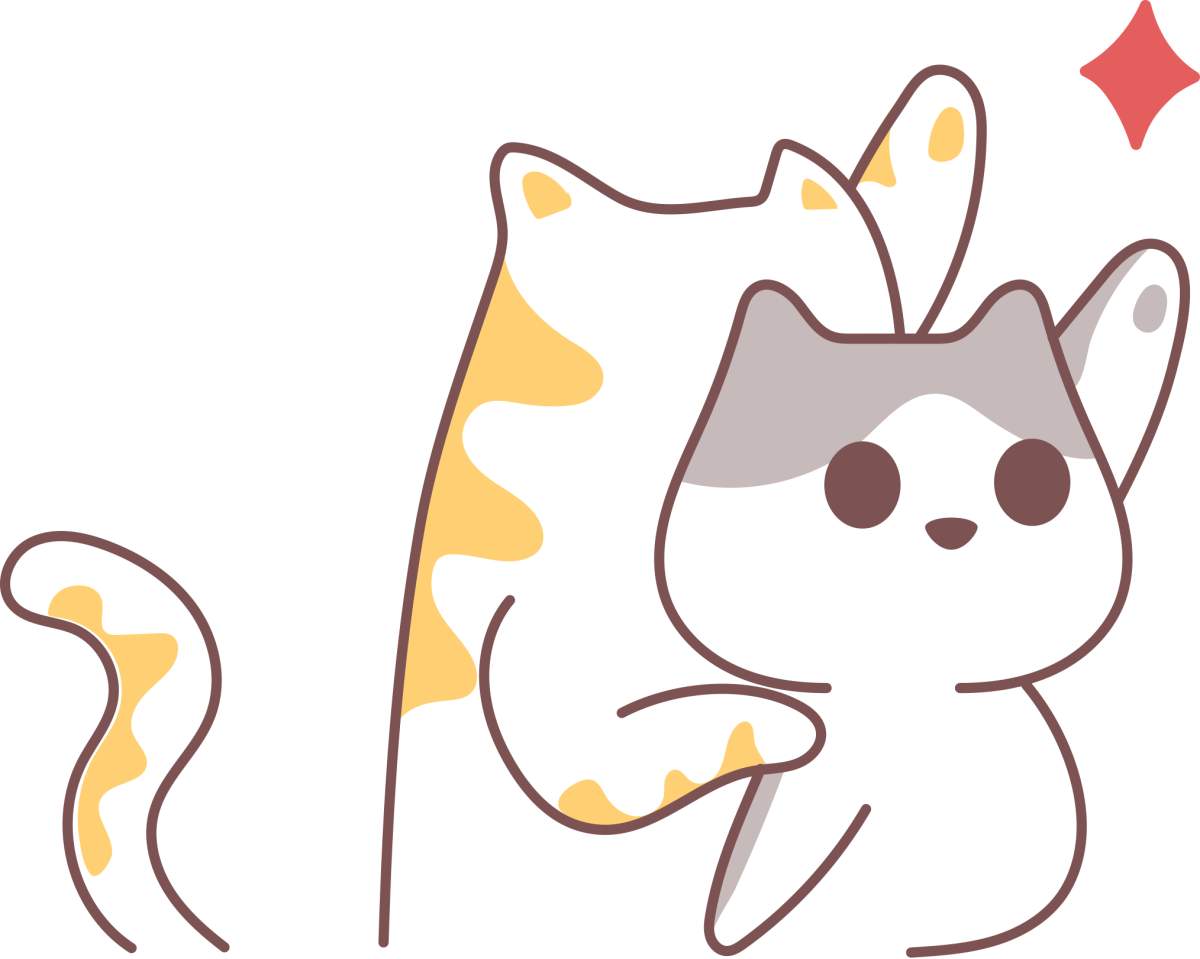 新手养猫基础知识