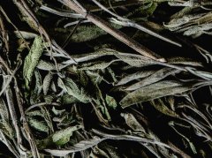 阴虚火旺怎么调？5种滋阴食物缓解不适