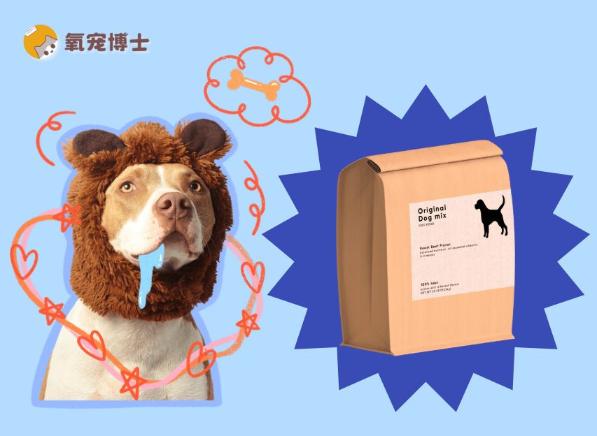 狗狗胰腺炎为什么要吃处方粮？看完这3点你就懂了