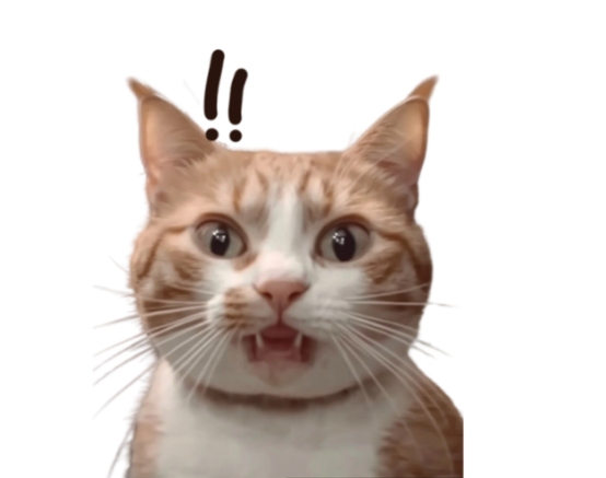 猫咪为什么喜欢偷喝杯子里的水