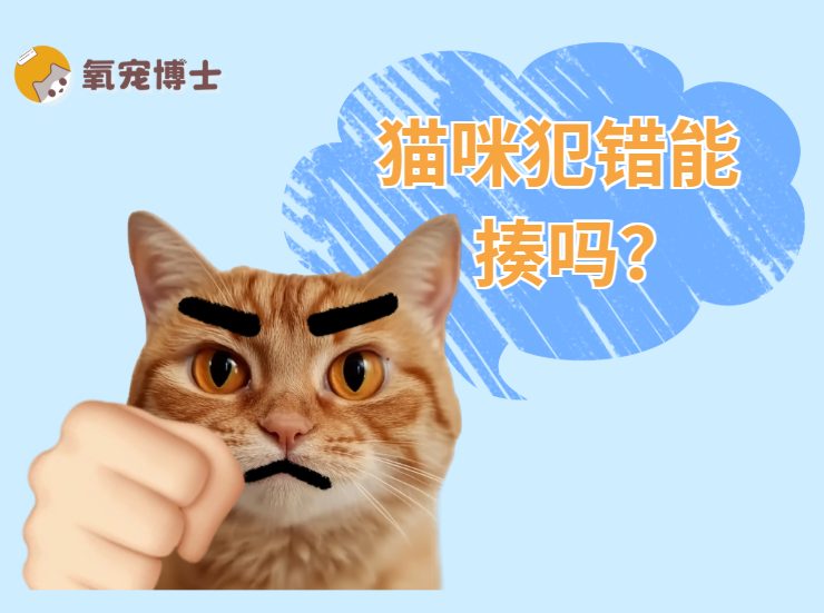 血泪教训！猫咪犯错之后千万别打！