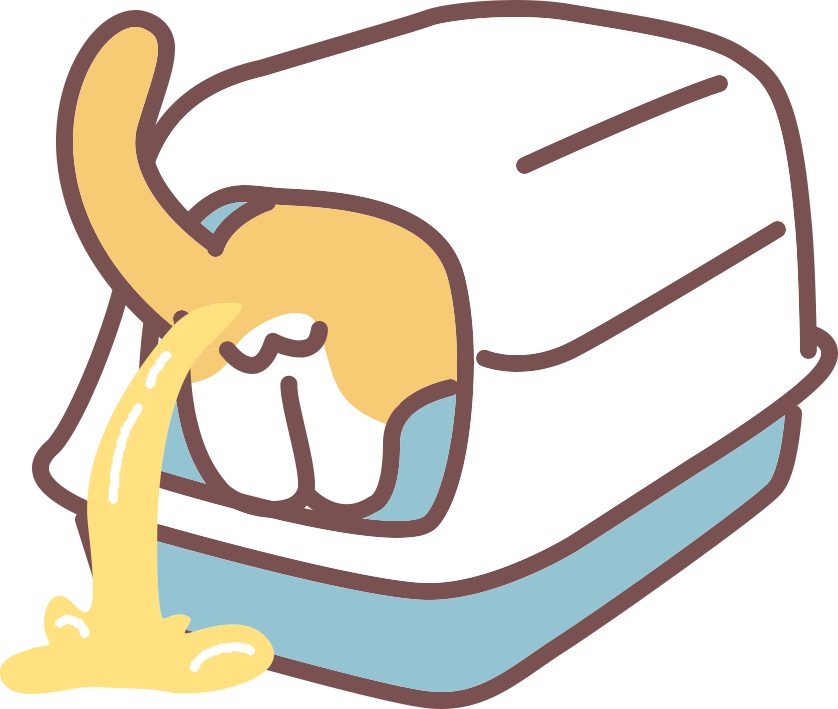 新猫到家怎么养？