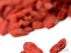 枸杞泡酒真的有益健康？这些功效与禁忌要清楚