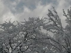 易上火溃疡还手脚冰凉？3个根源+4步调理