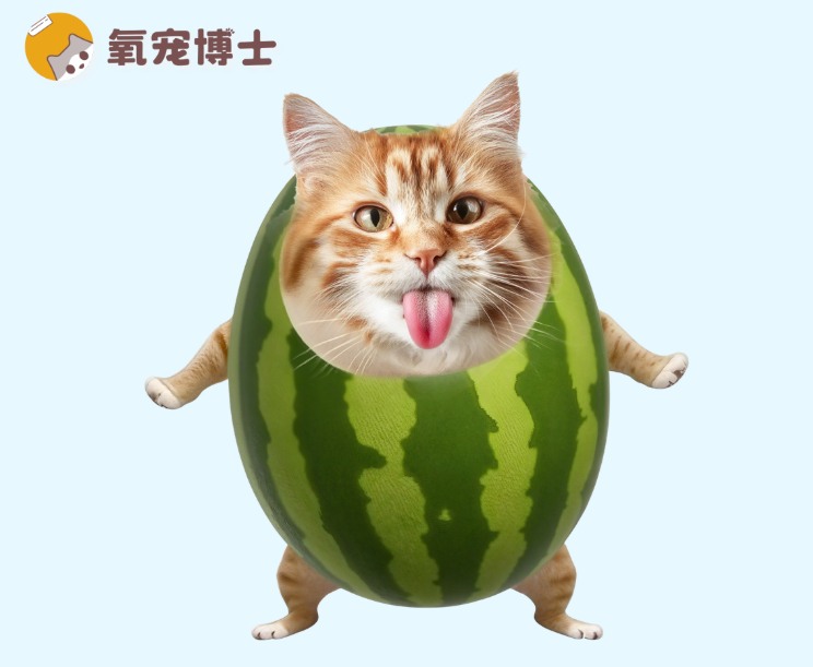 猫咪绝育会变丑吗？真相来了