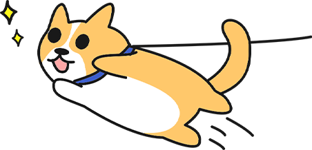 狗狗突然疯狂地跑来跑去 狗狗突然疯狂地跑来跑去