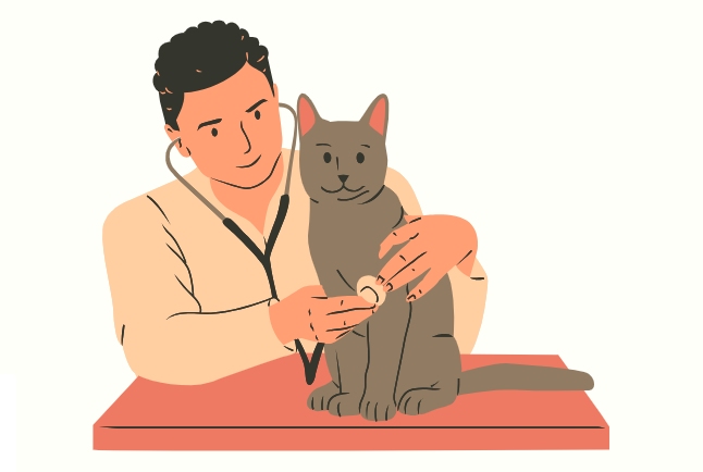 猫咪打疫苗 猫咪打疫苗