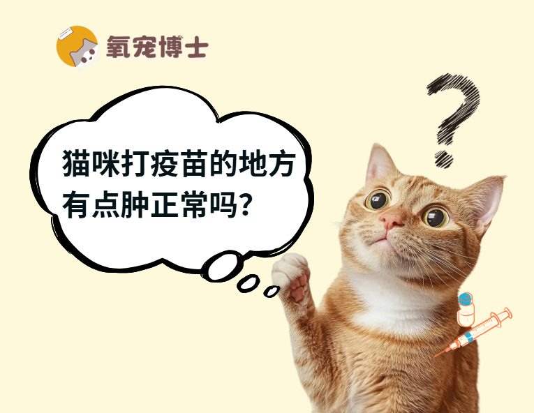 猫咪打疫苗的地方有点肿 猫咪打疫苗的地方有点肿