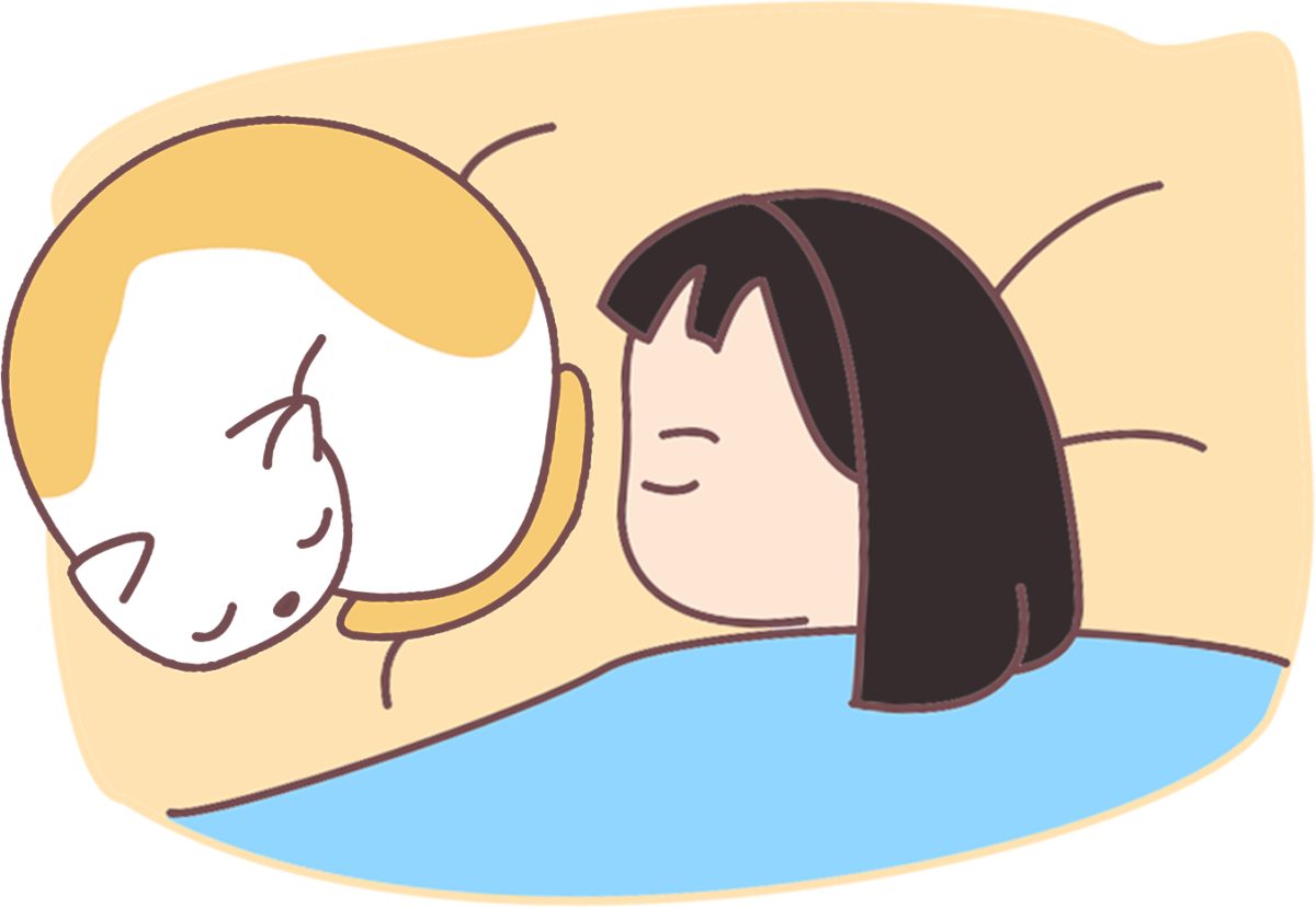 怎么判断猫咪的心情? 怎么判断猫咪的心情?