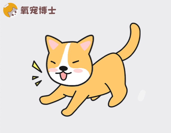 狗狗咳嗽怎么判断是不是犬窝咳？