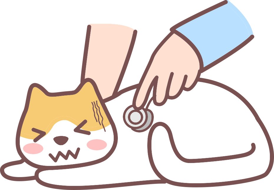 小猫换季拉肚怎么办? 小猫换季拉肚怎么办?