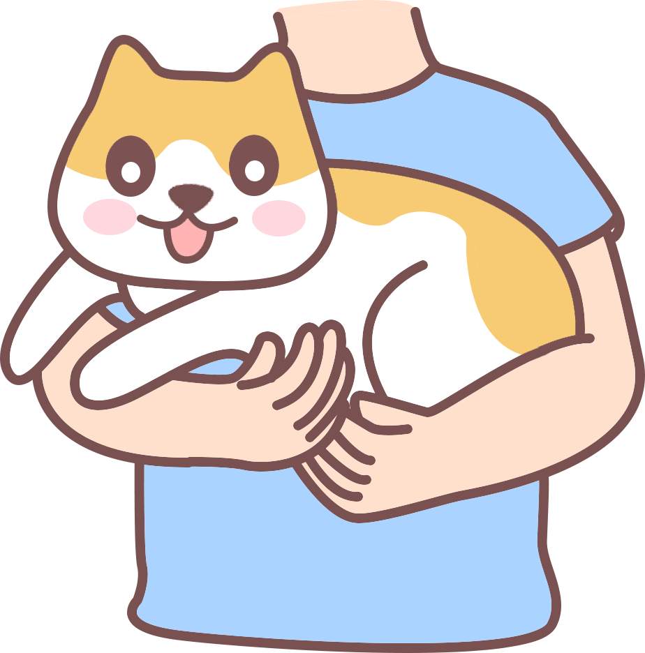 猫咪应激的表现 猫咪应激的表现