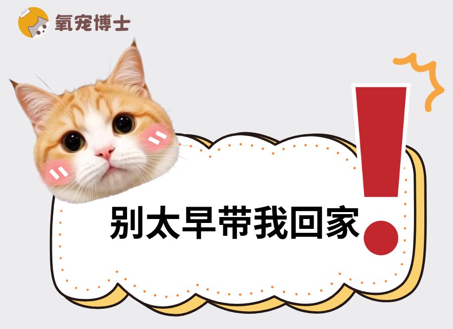 小猫多大带回家比较合适? 小猫多大带回家比较合适?