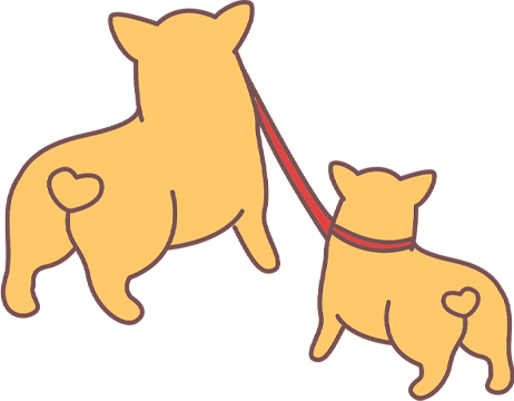 狗狗咳嗽怎么办？