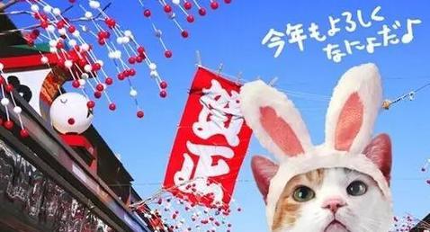以日本人给猫起什么名字大全（探索日本人给猫取名的文化与趋势）