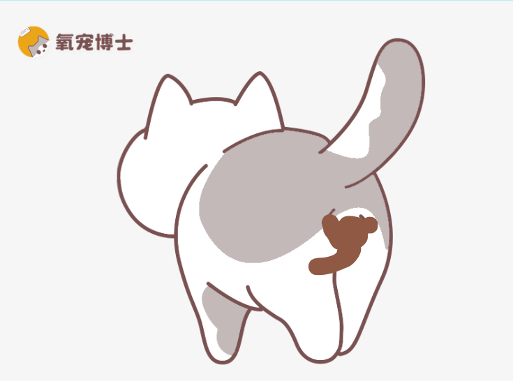 小猫屁股上总粘粑粑怎么办？